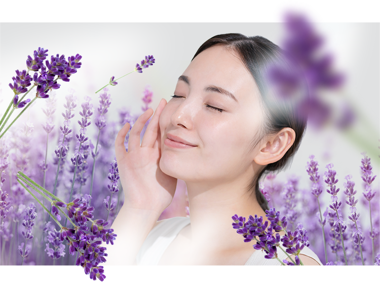 深呼吸したくなるやわらかなラベンダーの香り