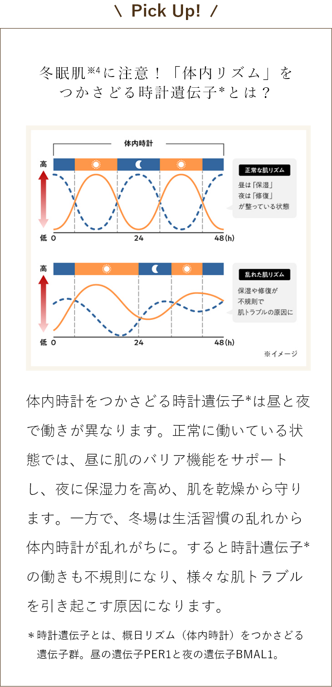 Pick Up! 冬眠肌※4に注意！「体内リズム」をつかさどる時計遺伝子※とは？　体内時計をつかさどる時計遺伝子*は昼と夜で働きが異なります。正常に働いている状態では、昼に肌のバリア機能をサポートし、夜に保湿力を高め、肌を乾燥から守ります。一方で、冬場は生活習慣の乱れから体内時計が乱れがちに。すると時計遺伝子*の働きも不規則になり、様々な肌トラブルを引き起こす原因になります。