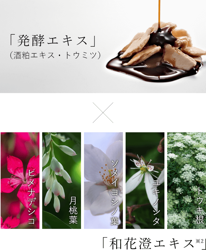 「発酵エキス」×「和花澄エキス※2」