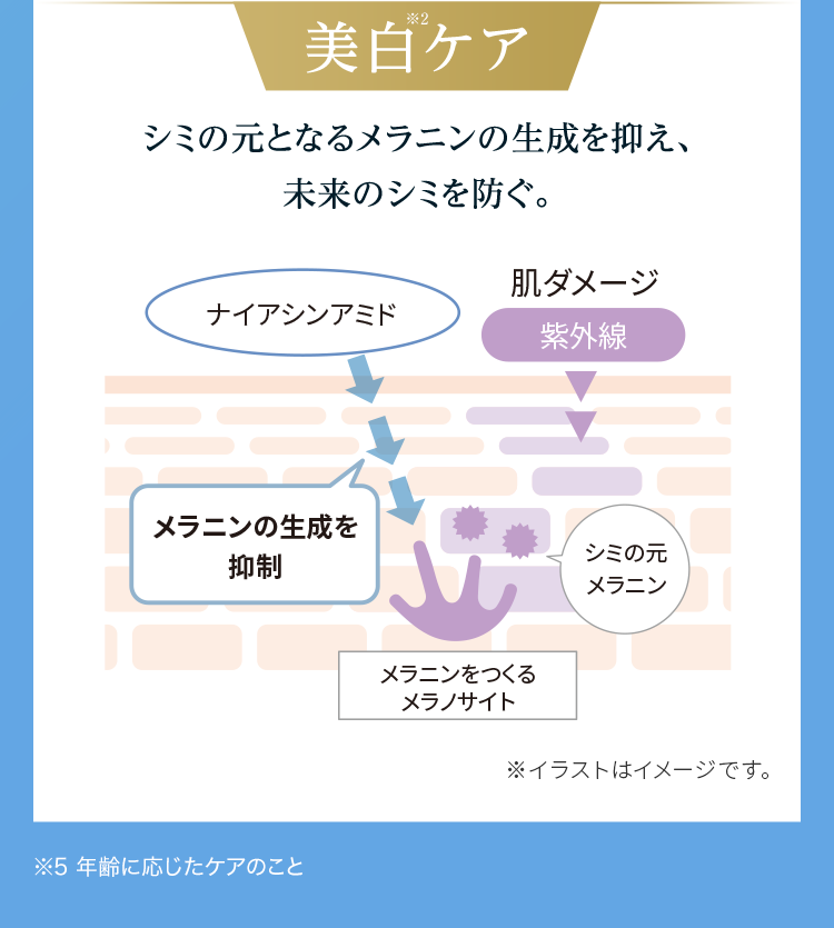 美白ケア シミの元となるメラニンの生成を抑え、未来のシミを防ぐ。