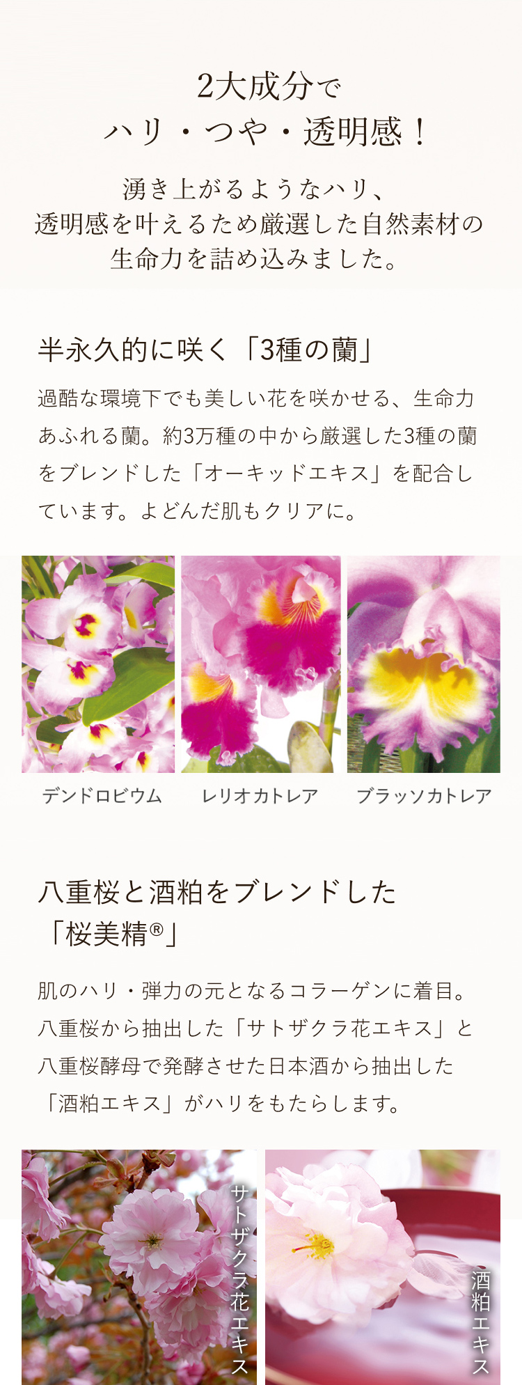 2大成分で ハリ・つや・透明感!