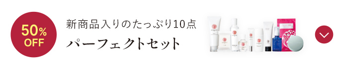 新商品入りのたっぷり10点 パーフェクトセット